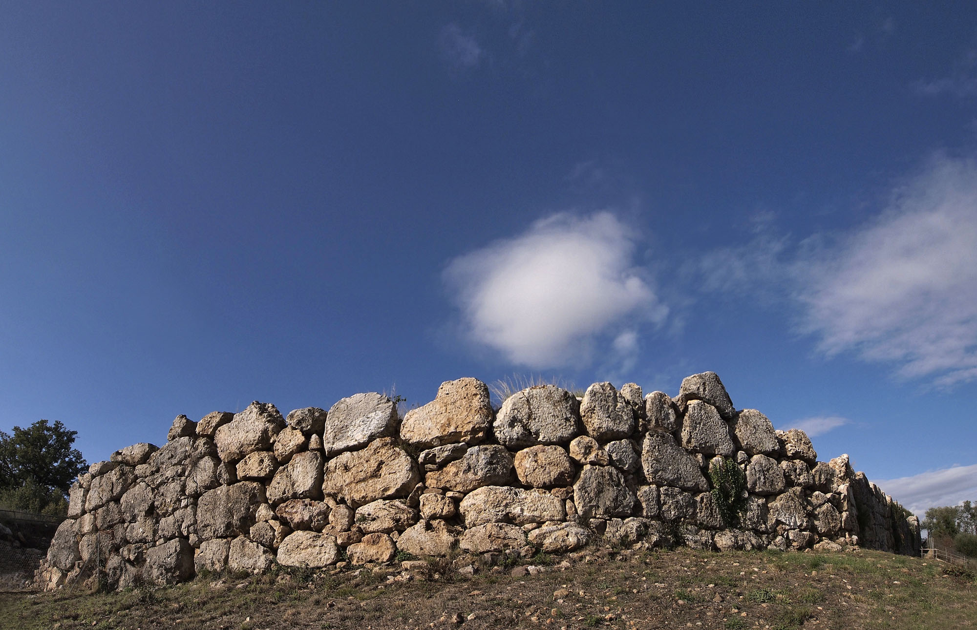 STUPOROSA | Festival Teatro nel Bicchiere